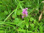 hokkaido2009 222m.jpg