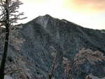 yama283 010_m.jpg
