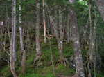yama305 054m.jpg