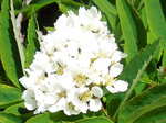 yama427 032.jpg